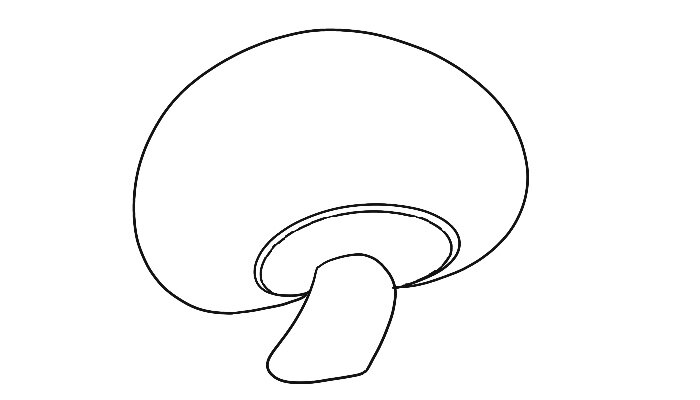 蘑菇边框图片大全高清图 蘑菇文本框简笔画好看 蘑菇文本框简笔画好看画法_https://yikao.nenmen.com_简笔画_第4张