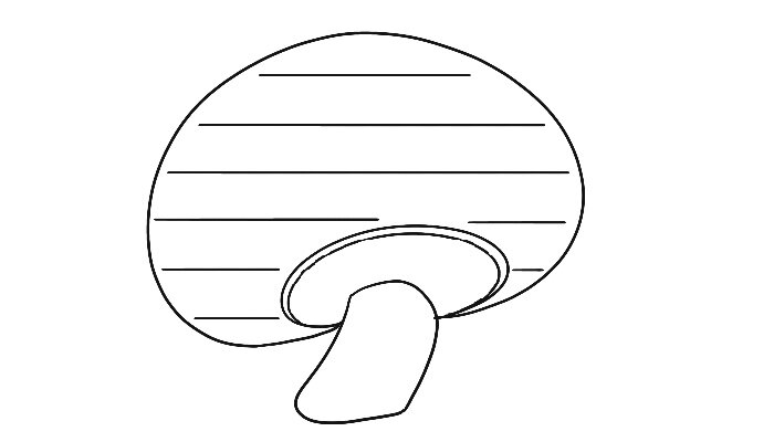 蘑菇边框图片大全高清图 蘑菇文本框简笔画好看 蘑菇文本框简笔画好看画法_https://yikao.nenmen.com_简笔画_第5张