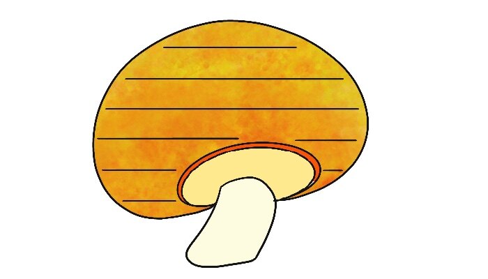 蘑菇边框图片大全大图 蘑菇文本框简笔画好看 蘑菇文本框简笔画好看画法_https://yikao.nenmen.com_简笔画_第1张
