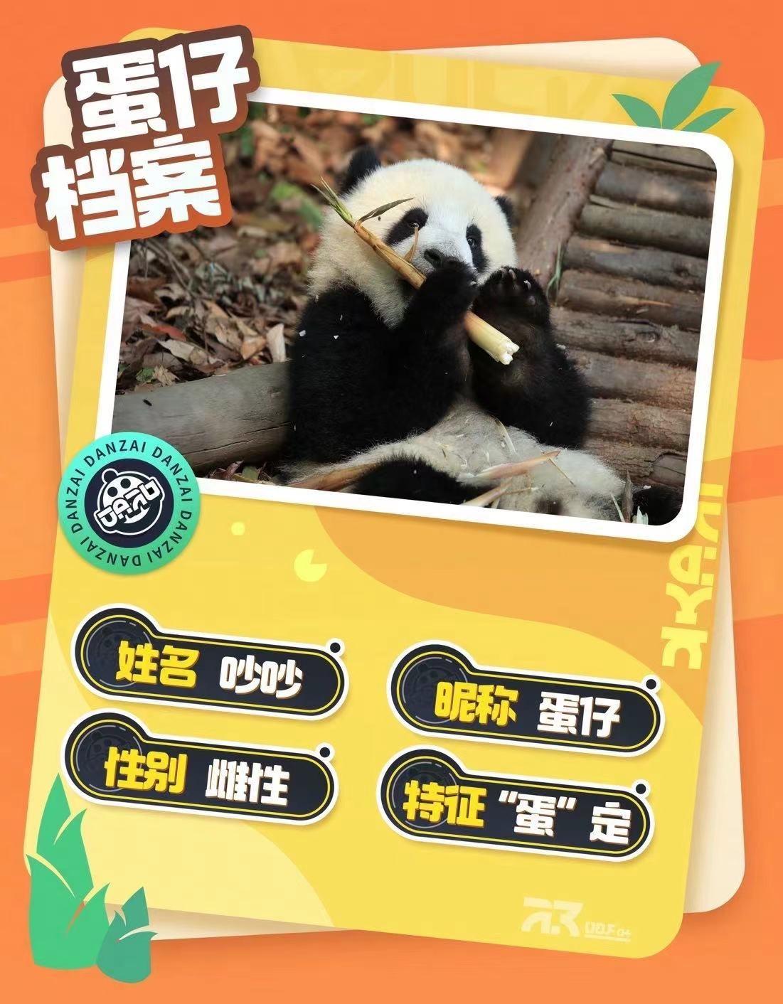 蛋仔派对熊猫保育员怎么获得 蛋仔派对熊猫保育员怎么获得_https://www.ybmzs.com_游戏攻略_第3张